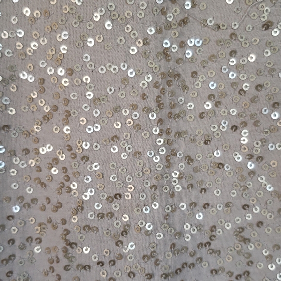 Charter club gold sequin short sleeves new woman  top size  large - Picture 3 of 4